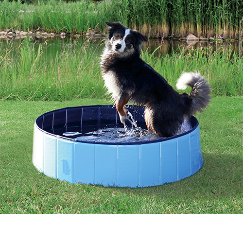 Verkoeling voor je hond bij warm weer met een hondenzwembad