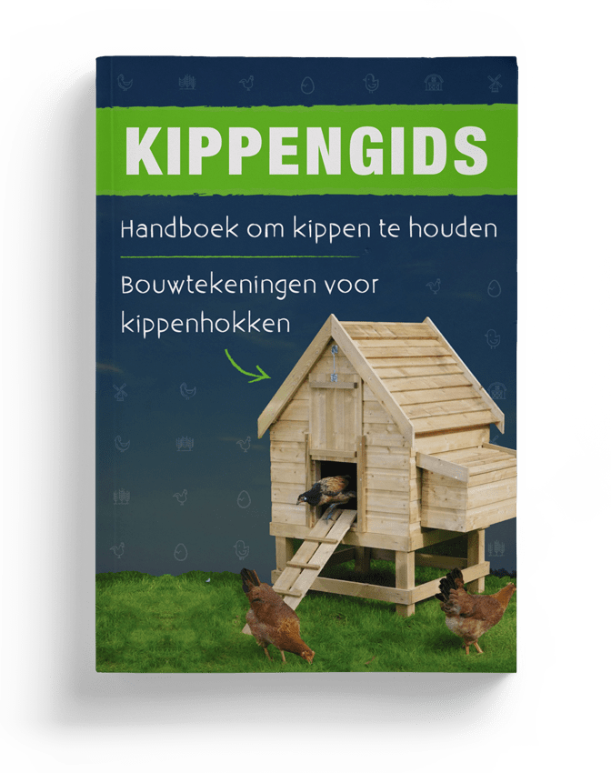 Kippenhok Kopen Of Zelf Bouwen Wwwdidolandbe