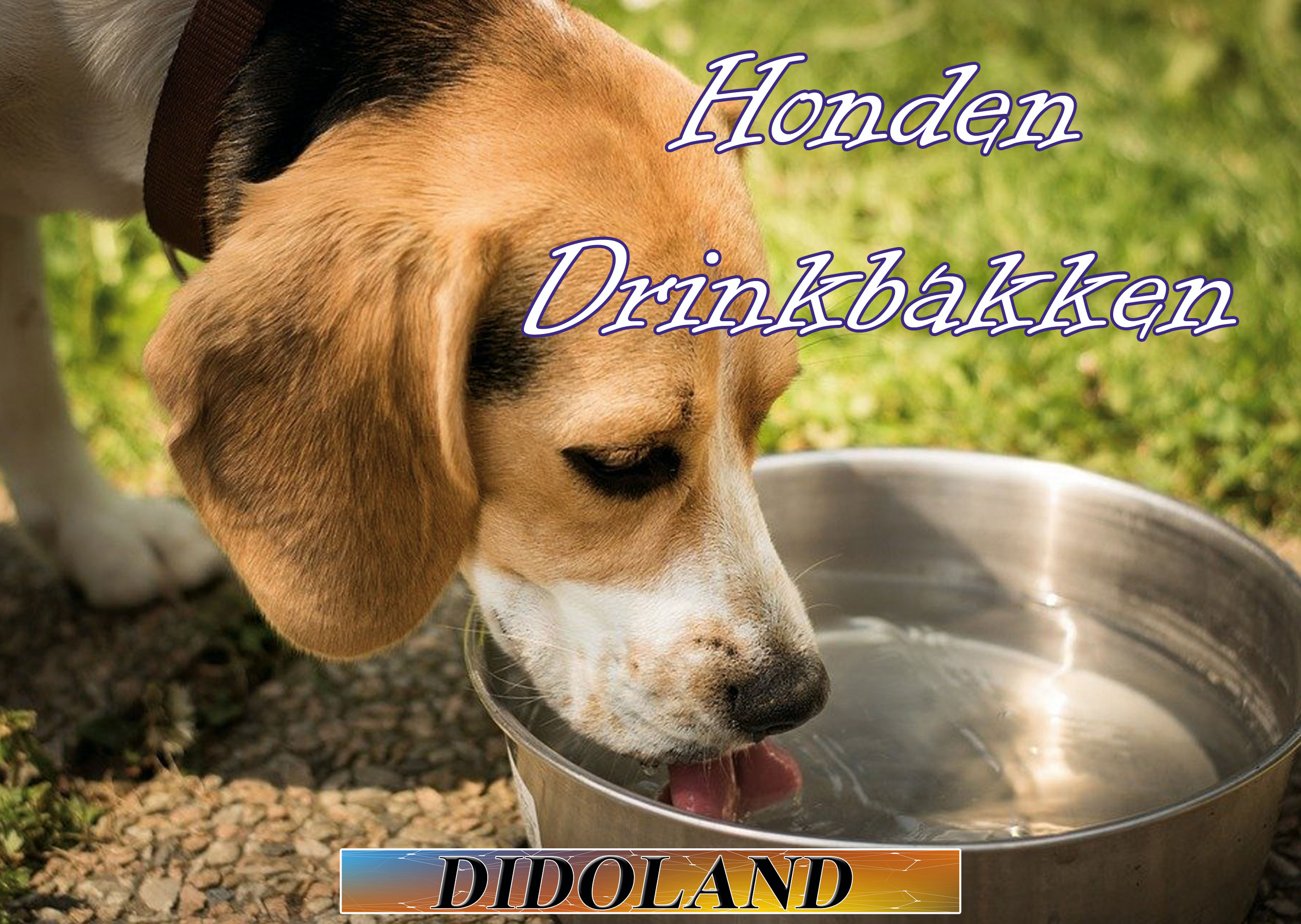 Hondendrinkbakken in Alles voor honden