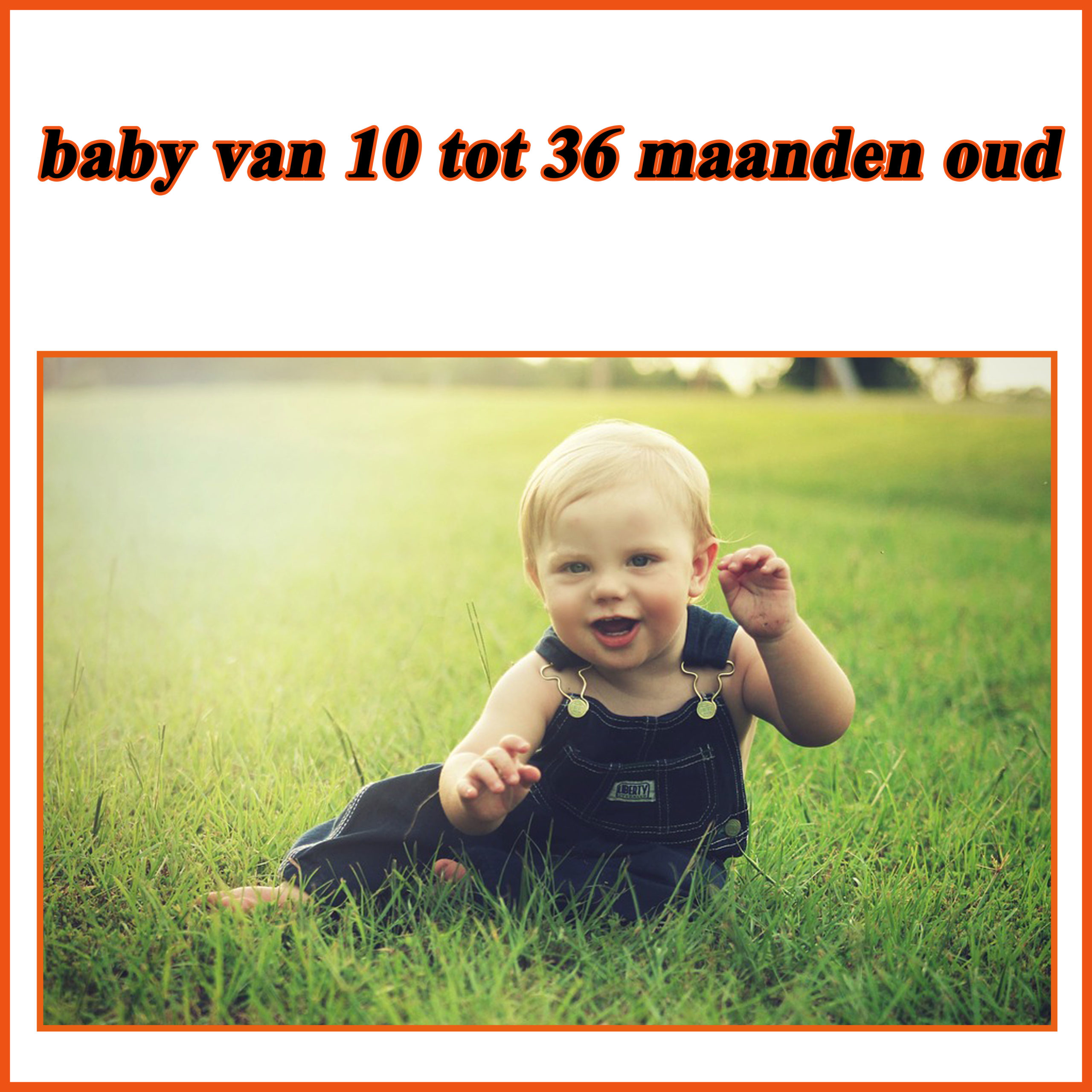 Babywinkel: baby van 10 tot 36 maanden oud