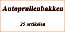 Autoprullenbakken