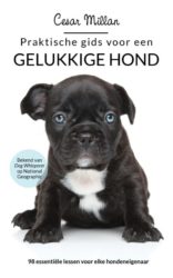 Praktische gids voor een gelukkige hond. Best Verkochte Nederlandstalige Boeken over honden