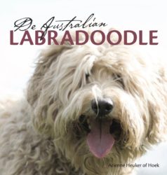 De Australische Labradoodle