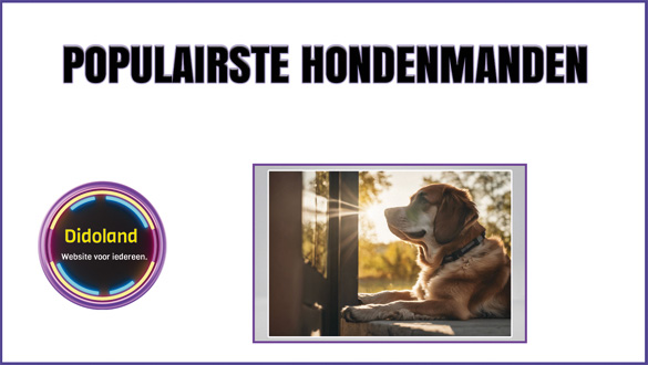 Populairste hondenmanden