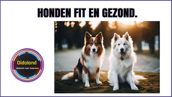 Honden fit en gezond. Honden fit en gezond.