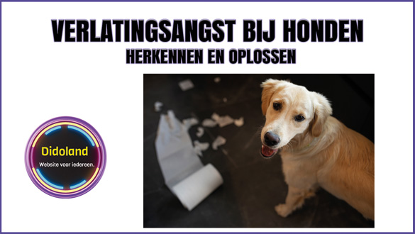Verlatingsangst bij honden Herkennen en Oplossen