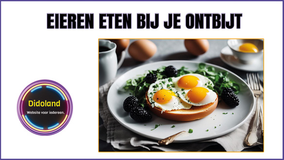 Is elke dag eieren eten bij je ontbijt gezond? Beste en goedkoopste eieren kopen
