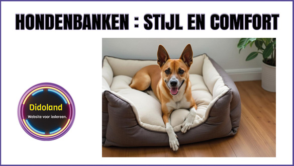 Hondenbanken stijl en comfort