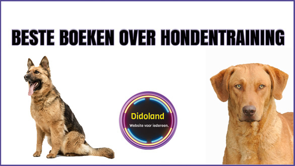 Ontdek de beste boeken over hondentraining. Van puppy-opvoeding tot probleemgedrag aanpakken – praktische tips, methodes en inspiratie voor elke hondenbezitter