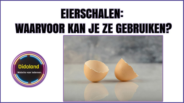 Eierschalen: Waarvoor kan je ze gebruiken? Beste en goedkoopste eieren kopen
